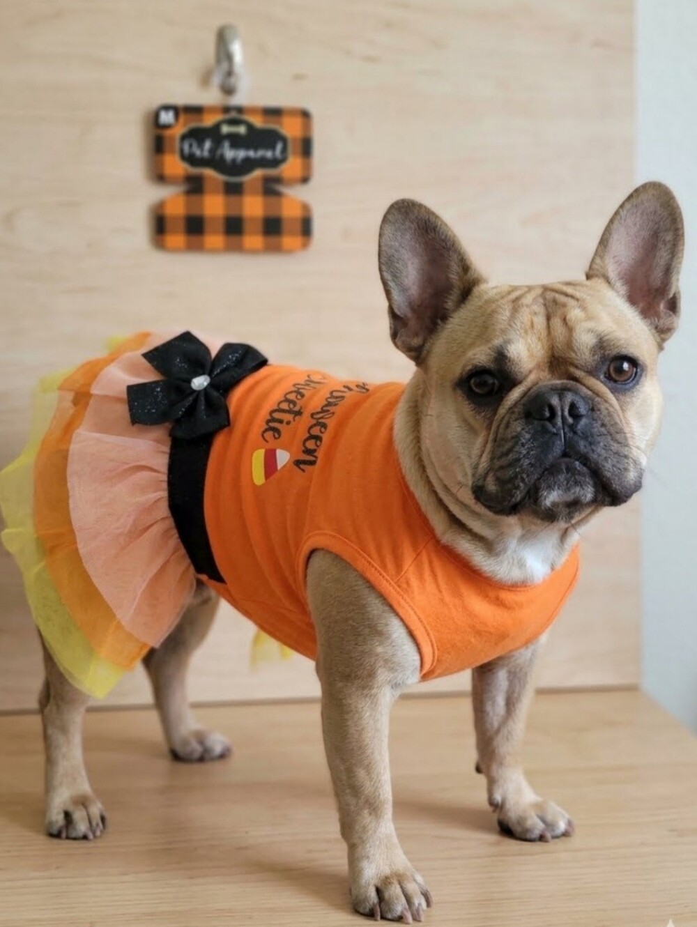 Pet Animal Halloween Tutu Dress with Bow for Dogs NWT - Picture 1 of 5